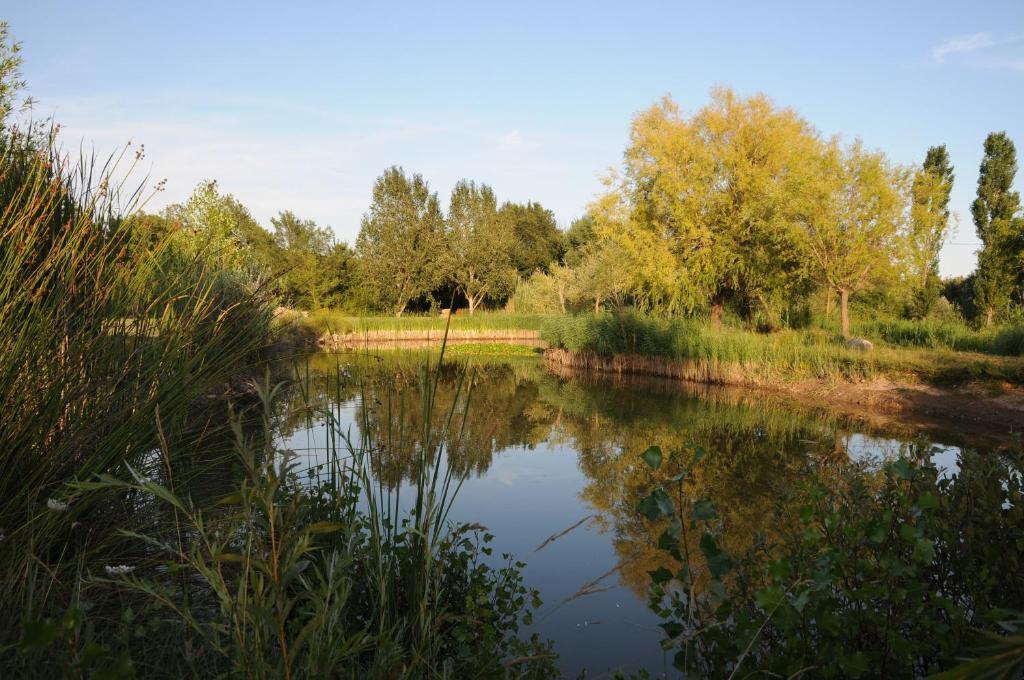 Domaine De La Begude Hotel Les Saquetons Szoba fotó